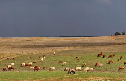Herdade dos Castelejos - Foto 74