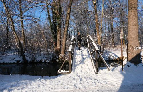 HOFSTELLE No. 133 - Photo 40