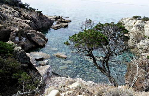 Résidence Saint Cyprien Plage - Foto 122