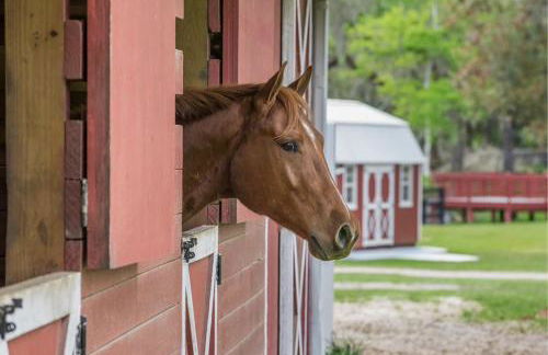 Tranquil Suite with Porch Less Than 2 Mi to Cedar Lakes! - Foto 30