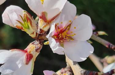 Cortijo Balzain - Foto 60