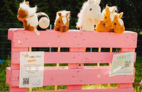 Natursee-Chalet,Spa mit Hot Tub,Jacuzzi,Sauna,Ponyhof,angeln - Photo 46