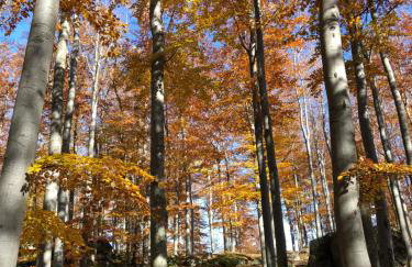 Grudza83 Bikepoint - Foto 20