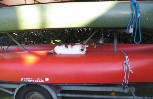 Ferienwohnung "Galerie" - Foto 25