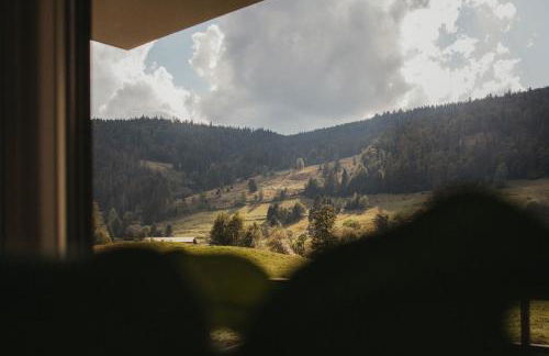 Schwarzwald Loft Panoramablick Menzenschwand - Foto 15