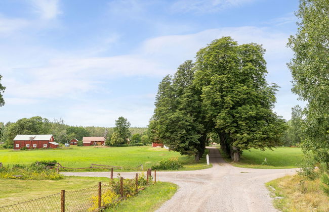 Skogstorpet - Foto 21