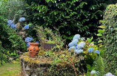 Gîtes du Gohic - Foto 34