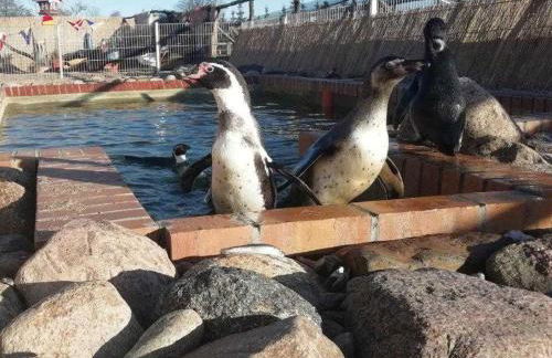 Wohlfühlurlaub im Ferienhaus - Foto 9