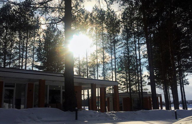 Green Gold Park - Foto 45