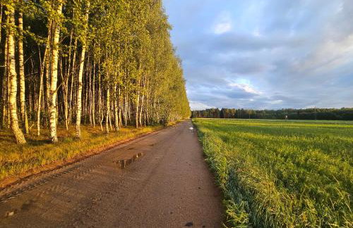 Leniuszkowo Święty Spokój - Foto 36