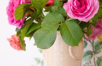 Tenuta di Casaglia - Foto 67