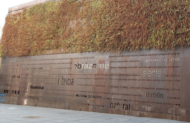 Del Parque Flats Central - Photo 50