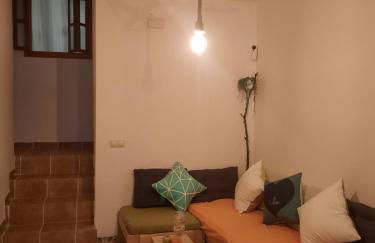 Sun Seekers - Foto 18