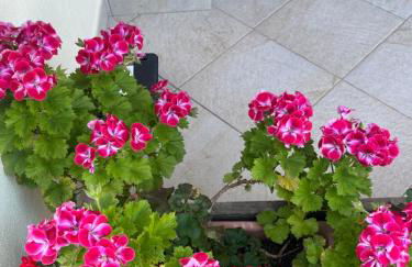 Casa di Rebecca - Photo 6