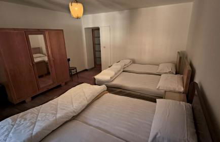 BROWN DOLOMYTE Apartment - Foto 17