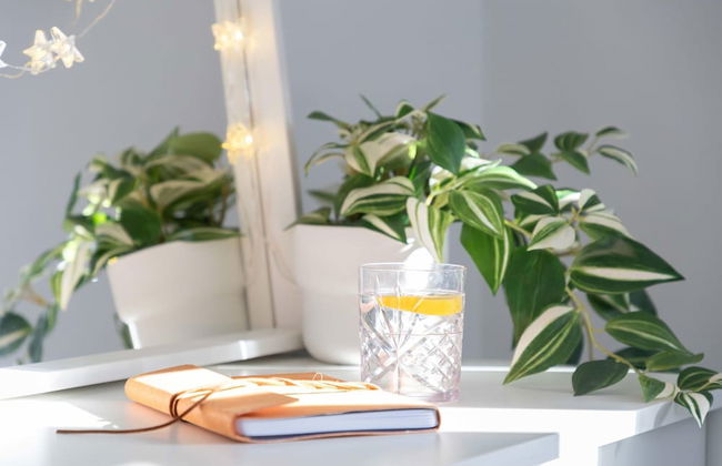 Chandlers Walk Modern Comfy Family Home in Exeter - Photo 3