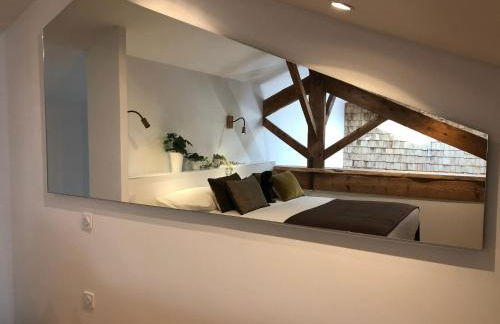 Castor Coquin Aubagne Cassis Aix en Provence - Foto 12