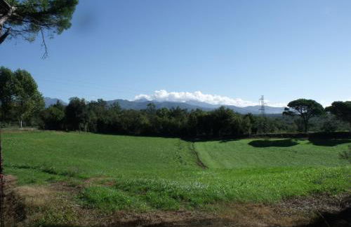 Agriturismo Podere Montese - Foto 80