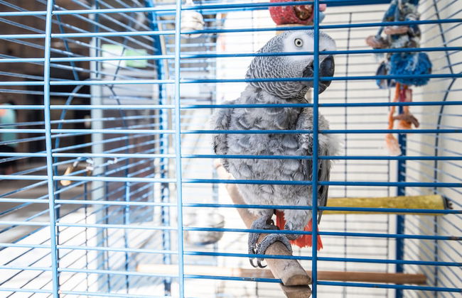 First Group Margate Sands - Photo 60