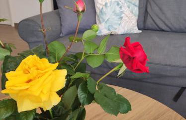 Apartment Adria Relax with private heated pool - Photo 15