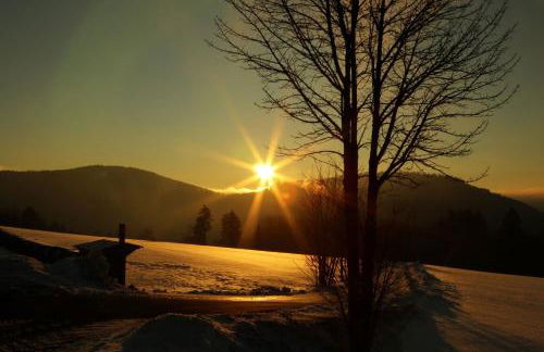 Ferienwohnung Hankeln - Foto 27