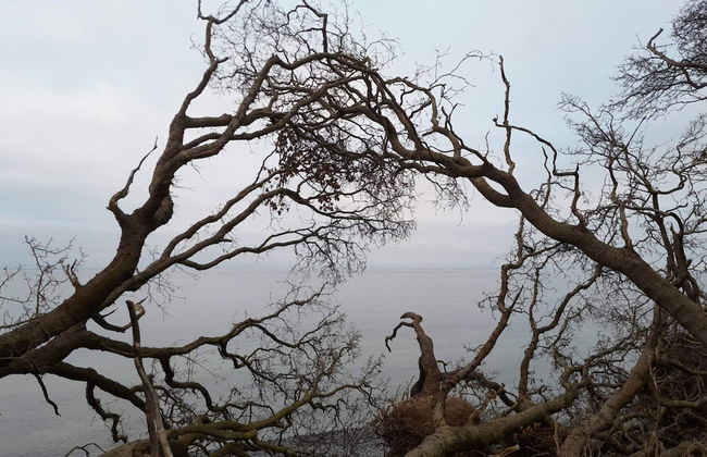 Seaside Haven With Views - By Traum Ferienwohnungen - Foto 9