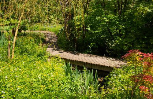 Fiddlers Green Log Cabin Tenby - Foto 20