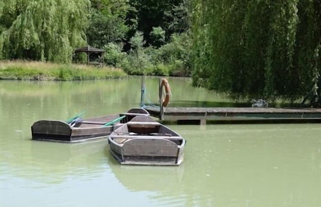 Château les Vallées - Foto 69