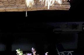 Las Casitas de la Barrosa con jardín y piscina - Foto 6