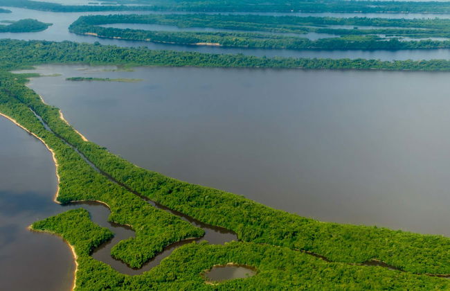 Amazon Jungle and Anavilhanas Islands Day Tour - Photo 1