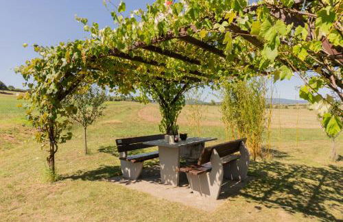 4 Sterne - Fewo zur Fliegerbank- in der Rhön - Foto 28