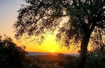 Casa Rural Puerto Cabero - Foto 31