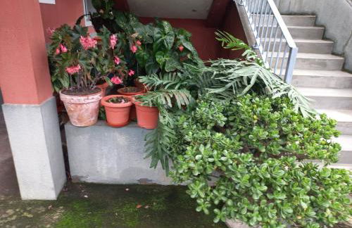 Casa Martins - Foto 68