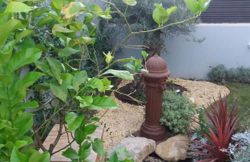 Poesia y Vino - Foto 16