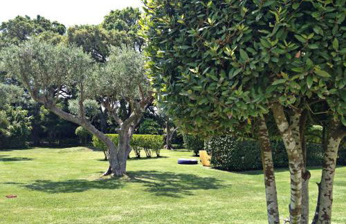 Quinta Do Miguel - Foto 18