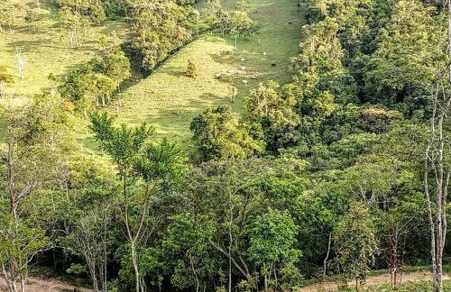 Sítio Recanto do Araçá - Foto 39