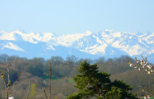Maison au charme champêtre - Monlaur-Bernet - Photo 54