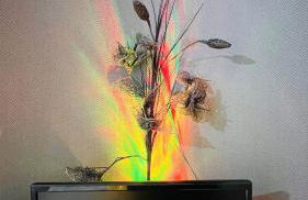 Spacious 3 Bedroom Entire Apartment Self Check in & Free Parking - Photo 64