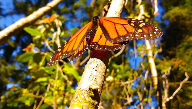 Tour in Valle de Bravo - Photo 3