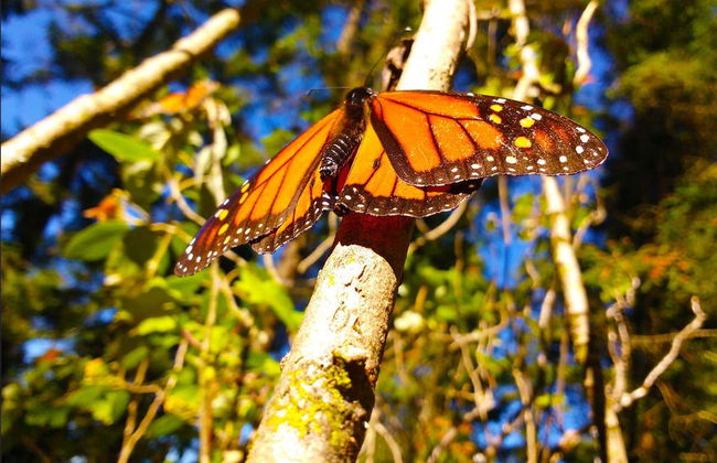Tour in Valle de Bravo - Foto 3