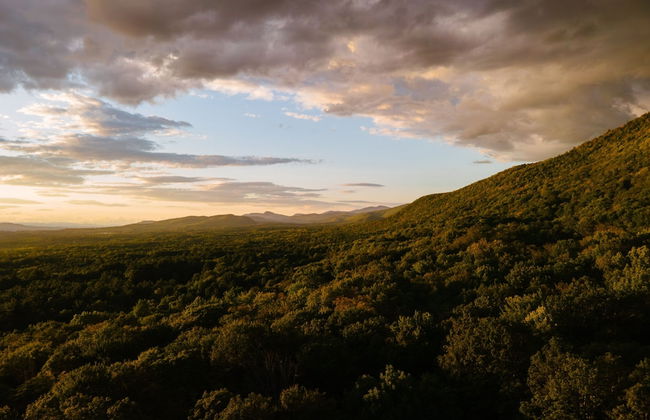 Forest Mountain Escape: Beautiful Mountaintop Escape In Mendon, Vt. 20 Min To Killington/14 To Pico. 4 Bedroom Home - Foto 16