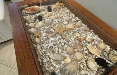 Ap pé na areia itapema frente mar - Foto 23