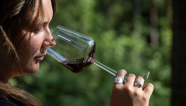Cheirando uma taça de vinho tinto