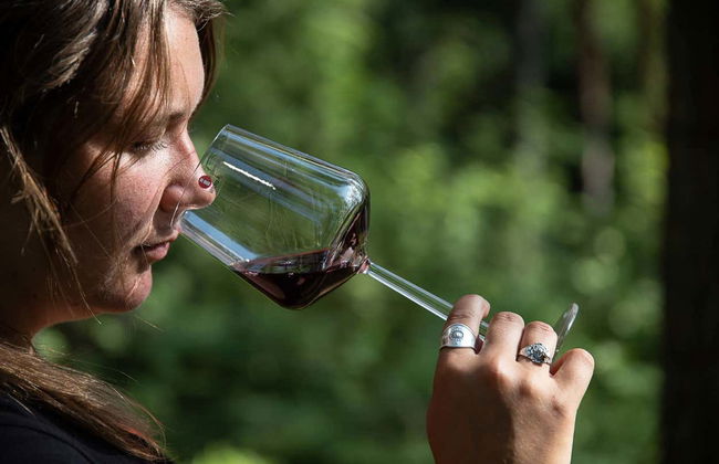 Degustazione di vino nel bosco di Espoo - Foto 5
