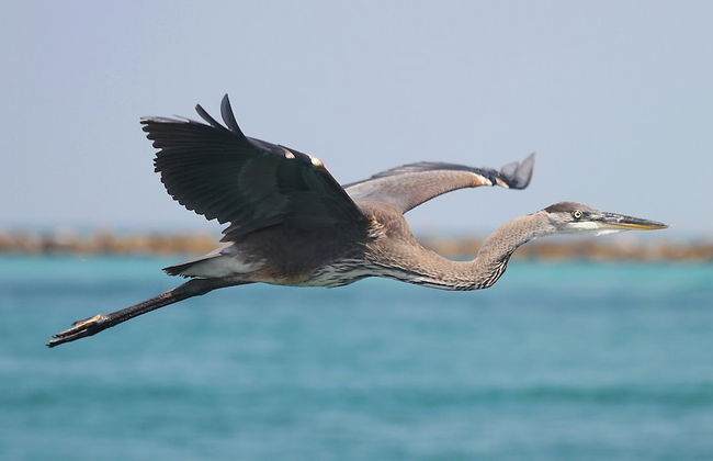 Casa del Sueno - Foto 55