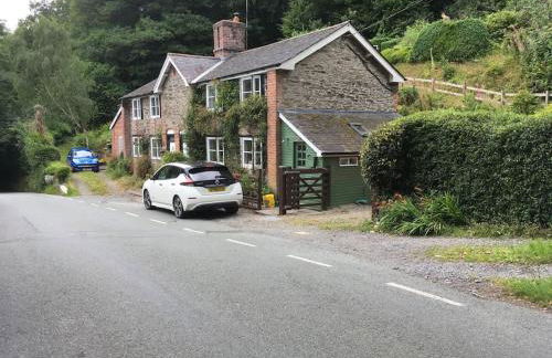 200 year old Gardener's cottage, Mid Wales - Foto 1