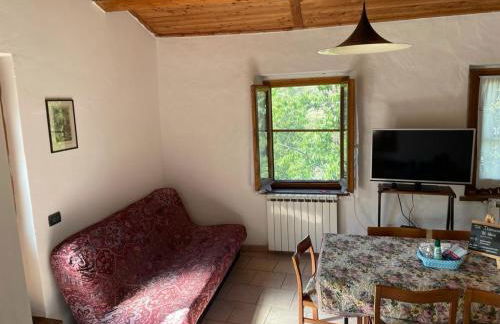 THE DORMOUSE - Il Ghiro - Foto 23