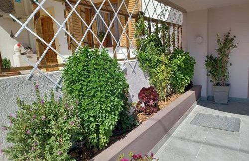 Comfort House Mimosa 2 - Photo 49