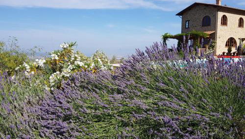 Villa Bella Costa - Foto 4