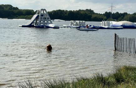 Moderne Ferienwohnung in Spaden / Wasserski / Badesee - Foto 34